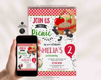 Picnic Party Invitation Printable INSTANT DOWNLOAD Summer Picnic Theme Birthday invite Editable Picnic in the park Birthday Party invite 368