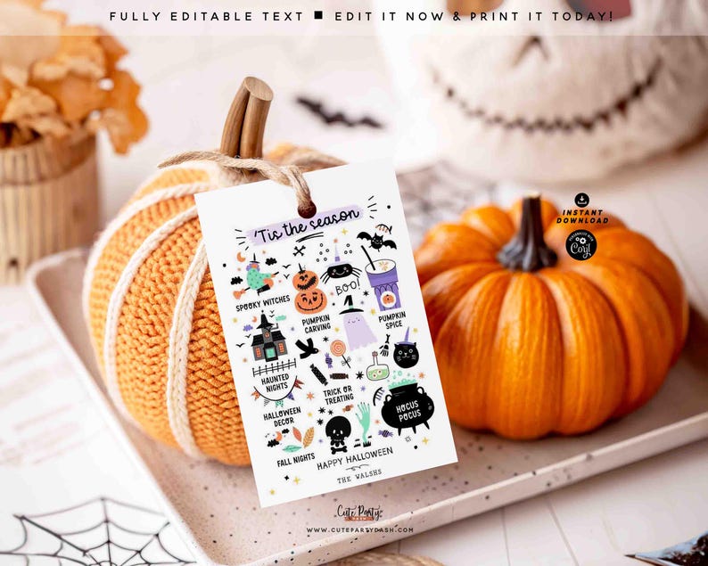 May include: An orange knitted pumpkin with a tag that reads "Tis the season" with Halloween-themed illustrations. A real orange pumpkin sits next to it. The tag includes icons of witches, ghosts, and pumpkins.
