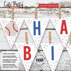 Baseball Birthday Party Wall banner