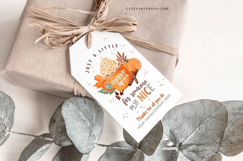 Pumpkin Spice for Someone Nice, Pumpkin Gift Tag, Homemade Pumpkin, Pumpkin Spice Tags - Cutepartydash.com
