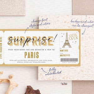 Surprise Trip to Paris Gift ticket Template, Editable Travel ticket, Birthday Paris France Vacation Boarding Pass Trip INSTANT DOWNLOAD