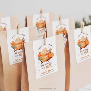 Pumpkin Spice for Someone Nice, Pumpkin Gift Tag, Homemade Pumpkin, Pumpkin Spice Tags - Cutepartydash.com