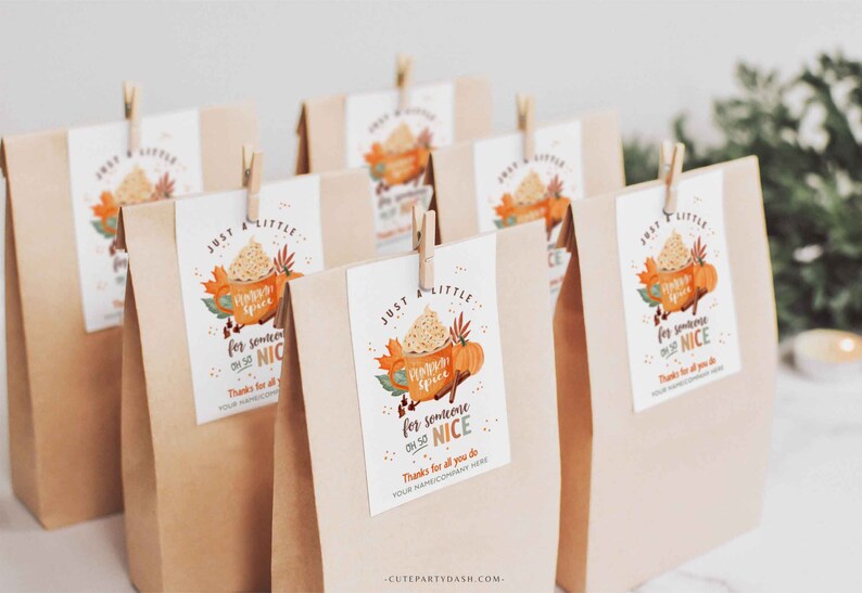 Pumpkin Spice for Someone Nice, Pumpkin Gift Tag, Homemade Pumpkin, Pumpkin Spice Tags - Cutepartydash.com