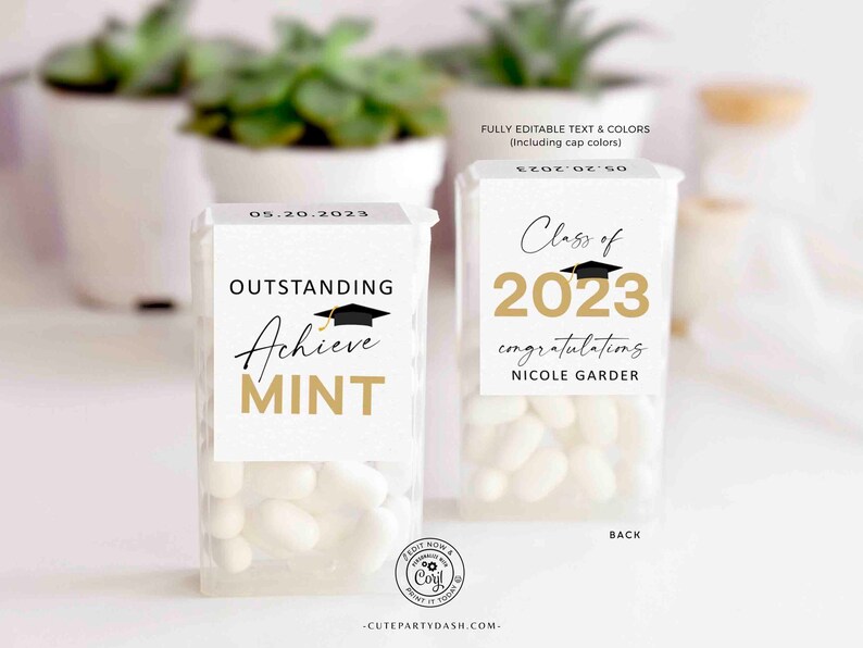 INSTANT DOWNLOAD Graduation Favors for guest 2023 Editable Senior Class of 2023 Graduation Party Mint Favors idea Candy High School Grad 420