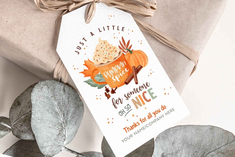 Pumpkin Spice for Someone Nice, Pumpkin Gift Tag, Homemade Pumpkin, Pumpkin Spice Tags - Cutepartydash.com
