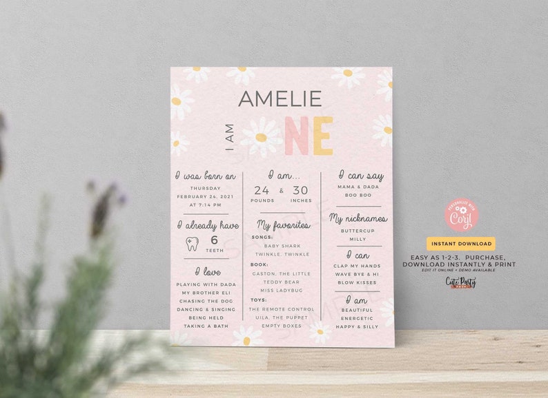 May include: A pink and white first birthday milestone poster with the name "Amelie" at the top. The poster includes details about the child's birth, favorites, and nicknames. The poster is decorated with daisy flowers.
