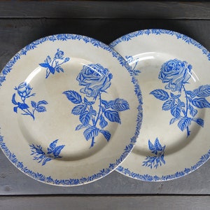 Könnte beinhalten: Zwei weiße Keramikteller mit blauen Blumendesigns. Die Teller zeigen eine blaue Rose mit Blättern und einem blauen Rand.