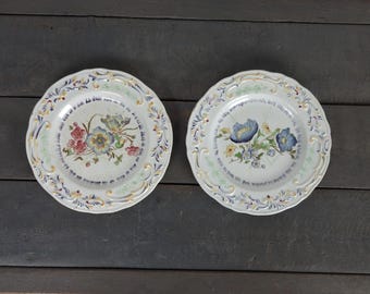 Conjunto de 2 platos de postre antiguos franceses, barbotina de mayólica policromada, Terre de fer, piedra de hierro, decoración floral, Creil Montereau, siglo XIX,