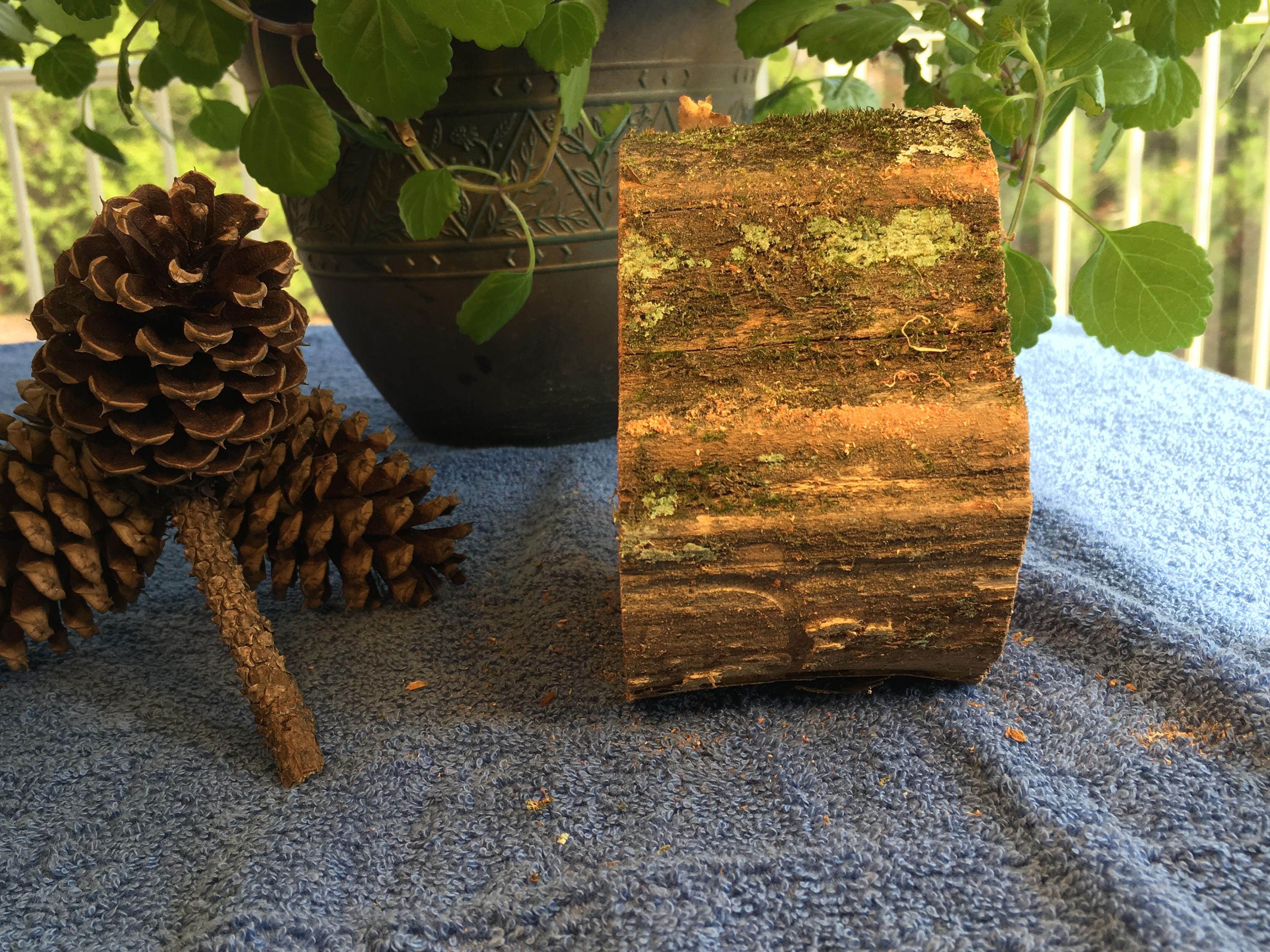 How To Make Cedar Blocks Smell Again at Ray Miller blog