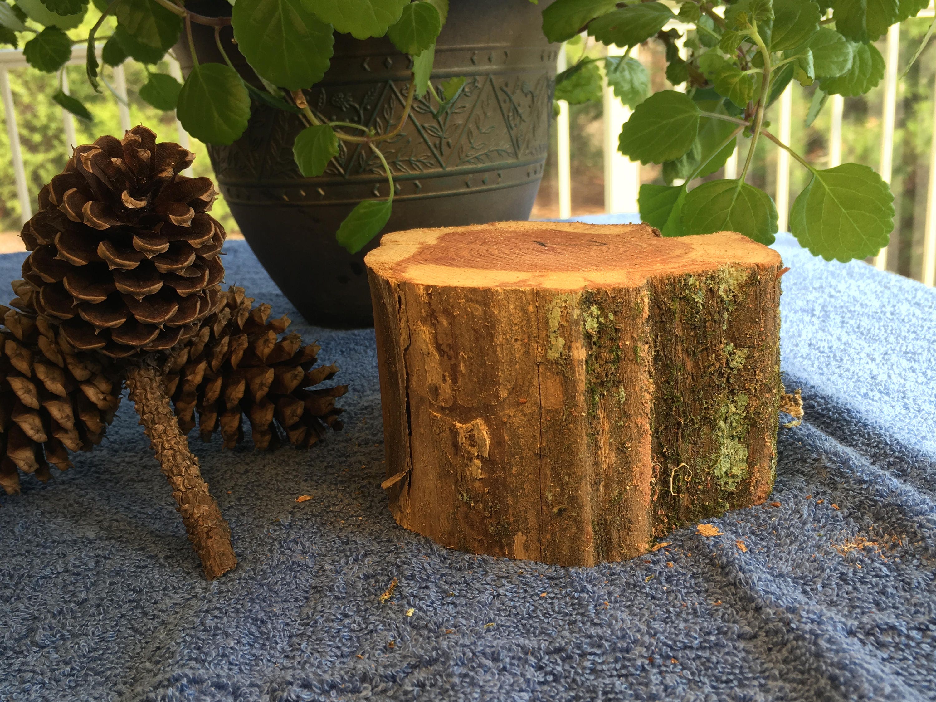 Raw Block of Aromatic Cedar 2