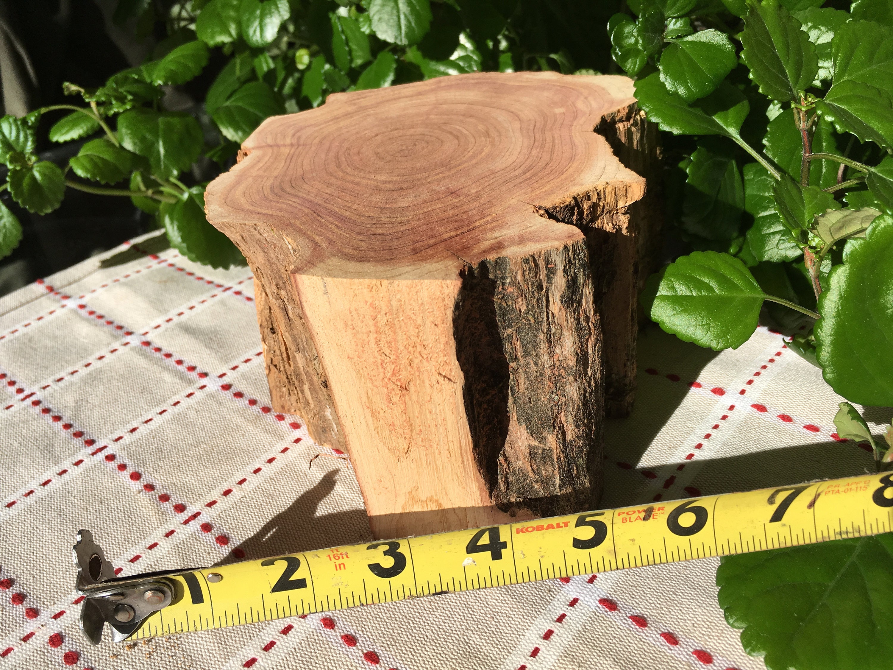 Raw block of aromatic cedar