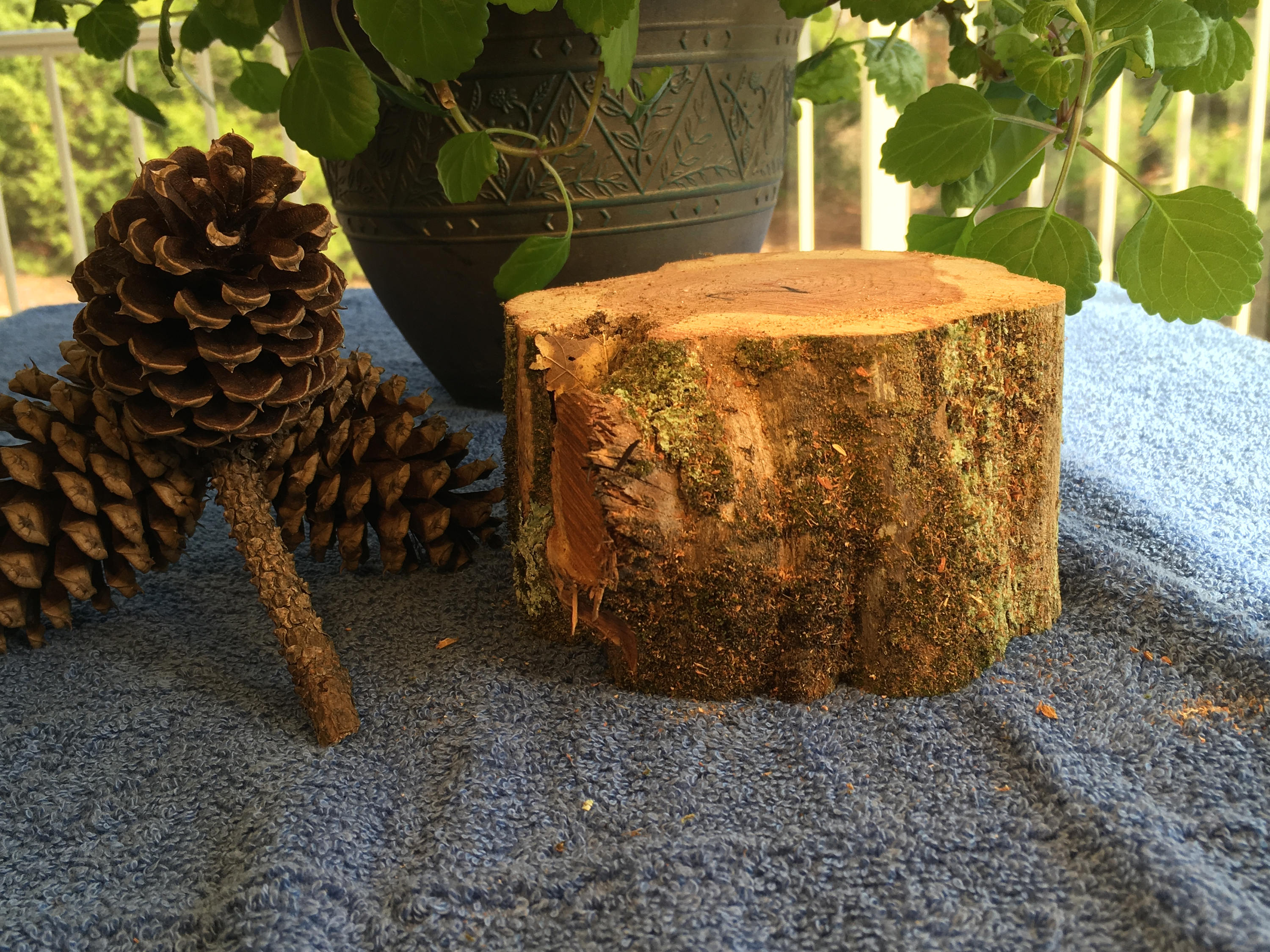 Raw Block of Aromatic Cedar 2