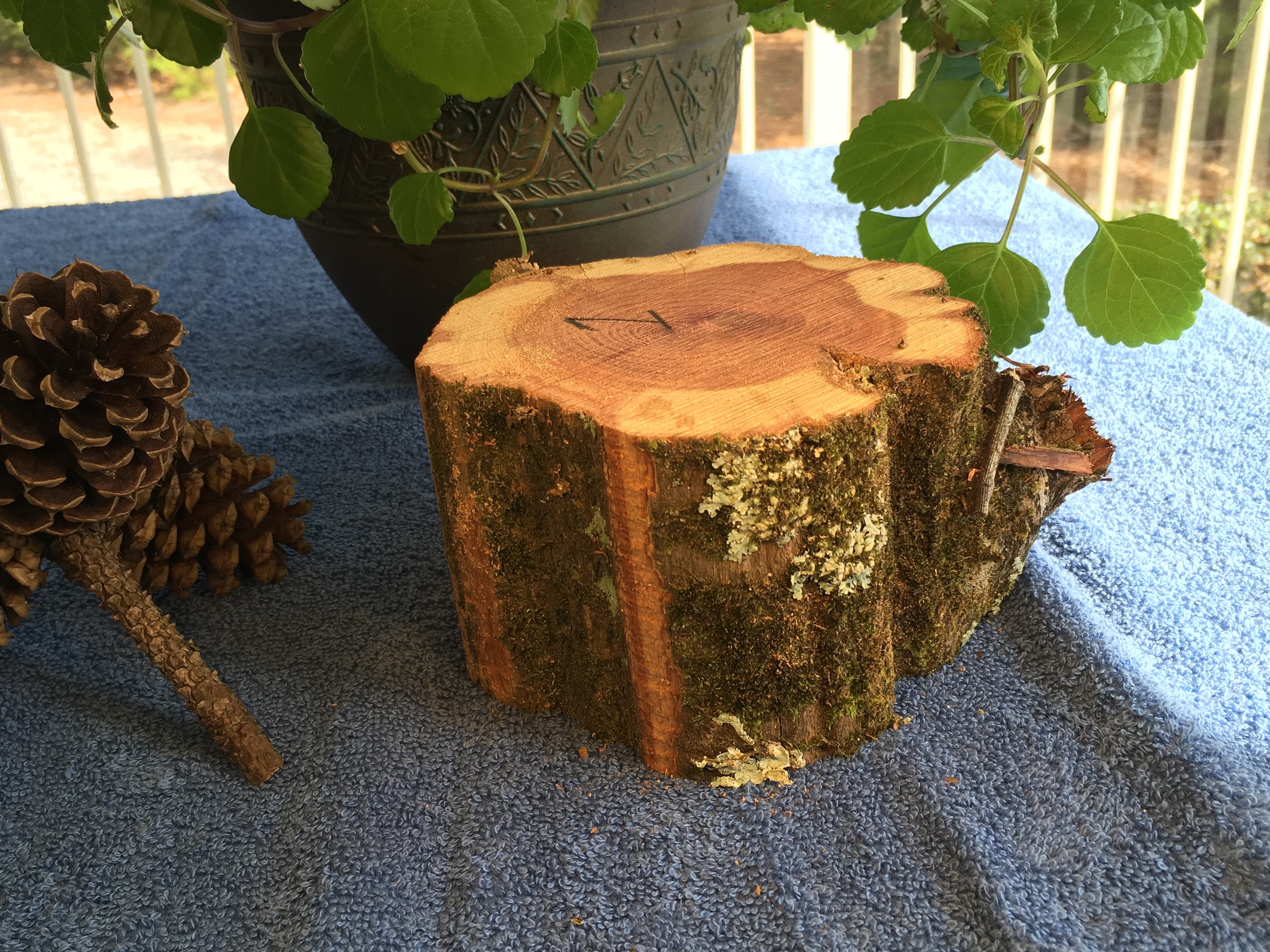 Raw Block of Aromatic Cedar 1