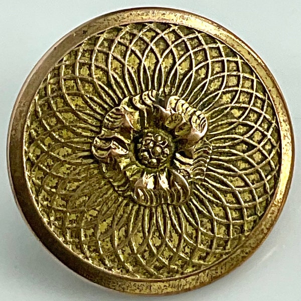 Antique Golden Age Medium Flower Button Old Scovill Backmark Floral Ornate Victorian