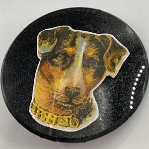 May include: A black and white image of a dog's head with a yellow collar. The dog is looking to the side and has a serious expression. The image is on a black background with white dots.