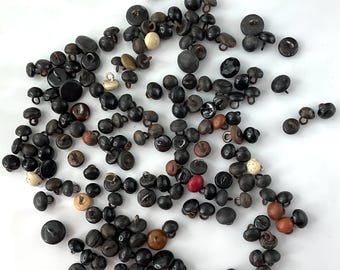 Lot 172 Antique Shoe Buttons Old Original Crafts Teddy Bear Eyes Victorian