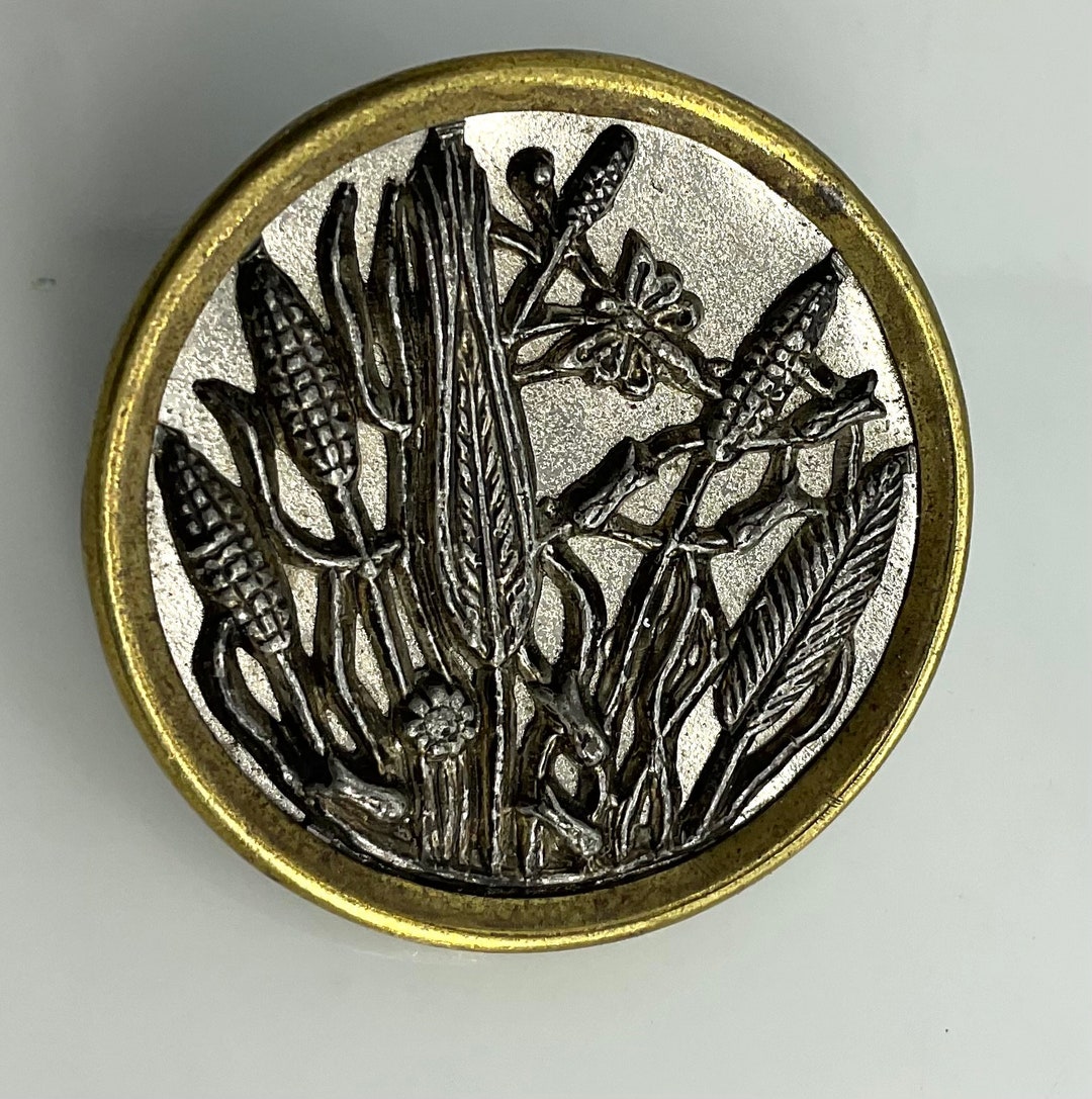 Medium Antique Insect Butterfly Metal Reeds Cattails Picture Buttons ...