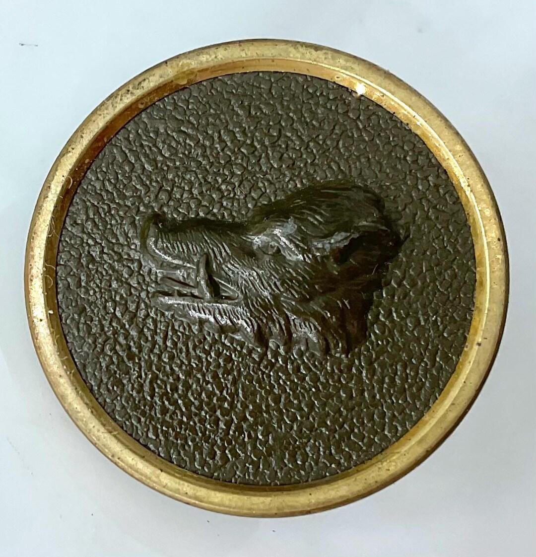 Wild Boar Antique Sporting Animal Hunt Picture Button Victorian Old - Etsy