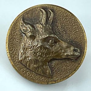 May include: A round, antique brass button with a detailed relief of a deer's head in profile. The button has a textured surface and a raised border with text around the edge. The deer has prominent antlers and a detailed facial structure.
