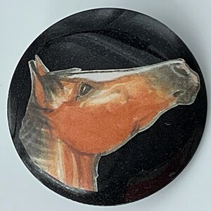 May include: A round, black button featuring a detailed illustration of a horse's head. The horse is depicted in shades of brown and orange, with a white highlight. The button has a glossy finish.