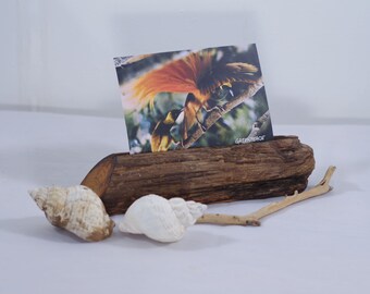 Photo Stand, Home Deco, Gift, Image Holder, Card Holder, DiY, Photo Holder, Driftwood, Postcard Holder
