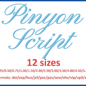 May include: A digital design featuring the words "Pinyon Script" in a light blue, elegant script font. Below the text, the words "12 sizes" are in red. The image also lists various size measurements in inches and file formats.