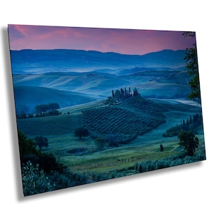 Tuscany, Val d&#39;Orcia, San Quirico d&#39;Orcia vineyards, Italy, Sunrise