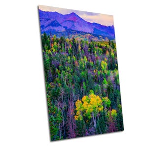 CO San Juan Mountains Aspen Trees Ouray Mt. Sneffels Autumn Colors 3 Sunset/Sunrise Vertical