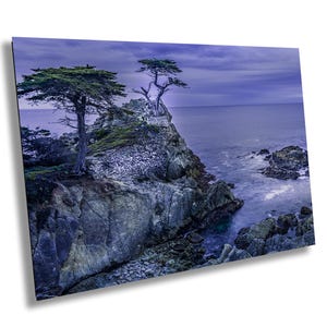 CA Lone Cypress Tree Carmel-by-the-Sea