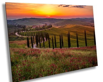 Tuscany, Val d&#39;Orcia, Baccoleno Farmhouse, Cypress Trees, Italy, Poppies, Sunset, Iconic