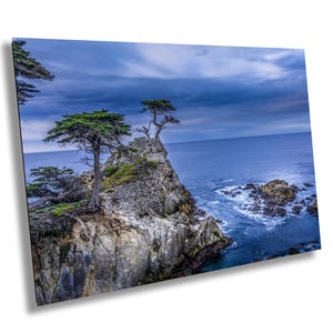 CA Lone Cypress Tree Carmel-by-the-Sea