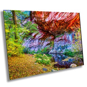 AZ Sedona Oak Creek Wet Falls Canyon