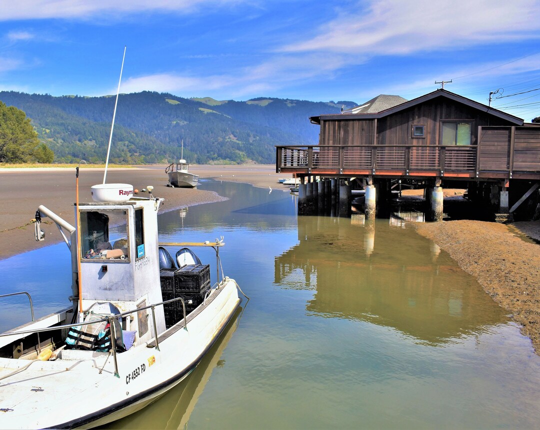 Bolinas,11x 14,bolinas Lagoon,muir Beach Overlook,stinson Beach,beach