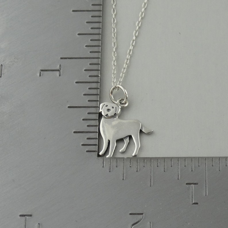 Personalized Labrador Retriever Necklace 925 Sterling Silver Engraved Custom Dog Name, Initials, Dates 18 Chain image 3