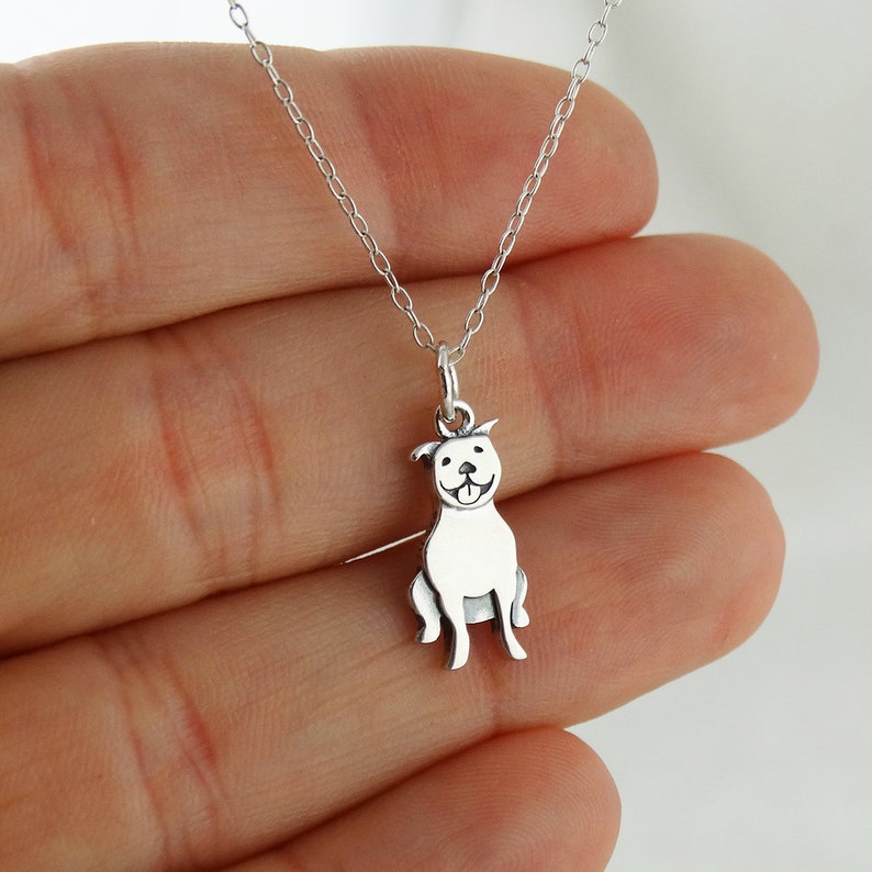 Personalized Pit Bull Necklace 925 Sterling Silver Engraved Custom Dog Name, Initials, Dates 18 Chain image 4