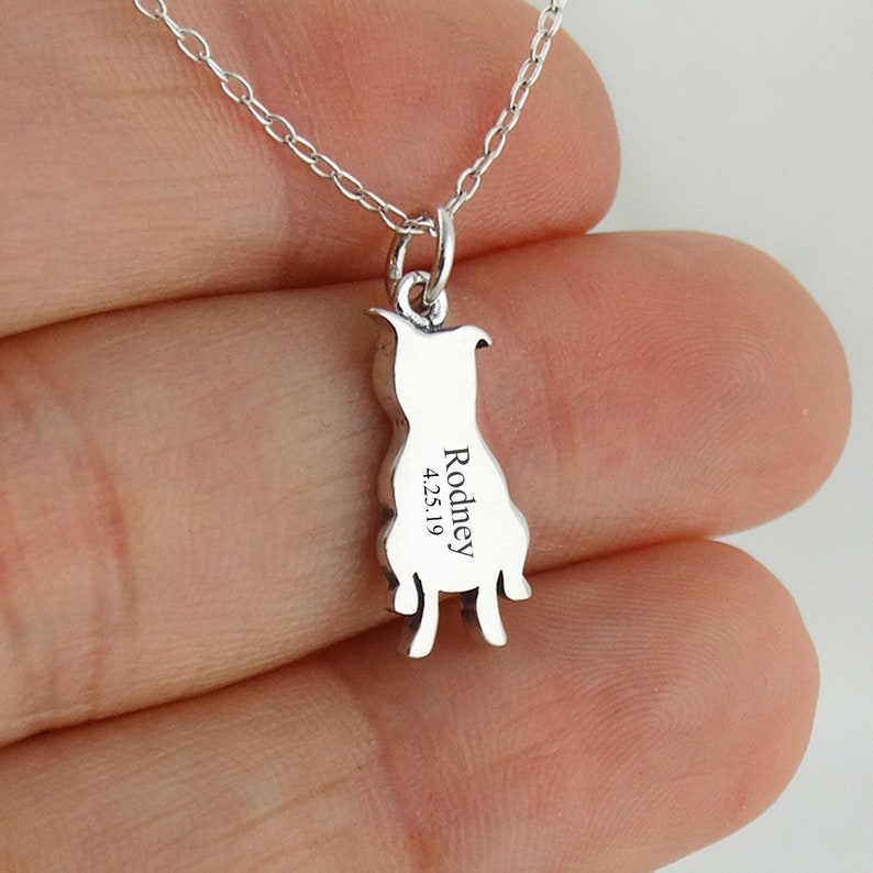 Personalized Pit Bull Necklace 925 Sterling Silver Engraved Custom Dog Name, Initials, Dates 18 Chain image 2