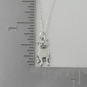 Personalized Pit Bull Necklace 925 Sterling Silver Engraved Custom Dog Name, Initials, Dates 18 Chain image 5