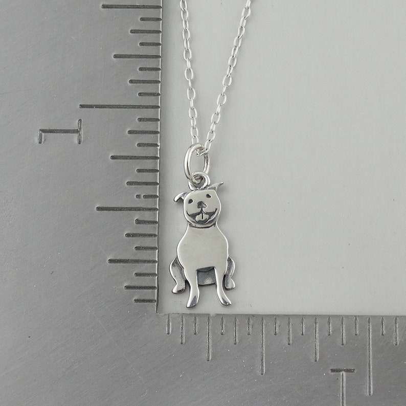 Personalized Pit Bull Necklace 925 Sterling Silver Engraved Custom Dog Name, Initials, Dates 18 Chain image 5