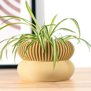 Pot de Plante Texturé avec Drainage - Imprimé en 3D, Pour Plantes, Décoration Intérieure Moderne