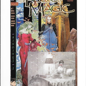 Books of Magic #1! Vertigo Comics! Tim Hunter! Falconer! Death! Manticore! Neil Gaiman! Sandman! Painted cover Charles Vess!