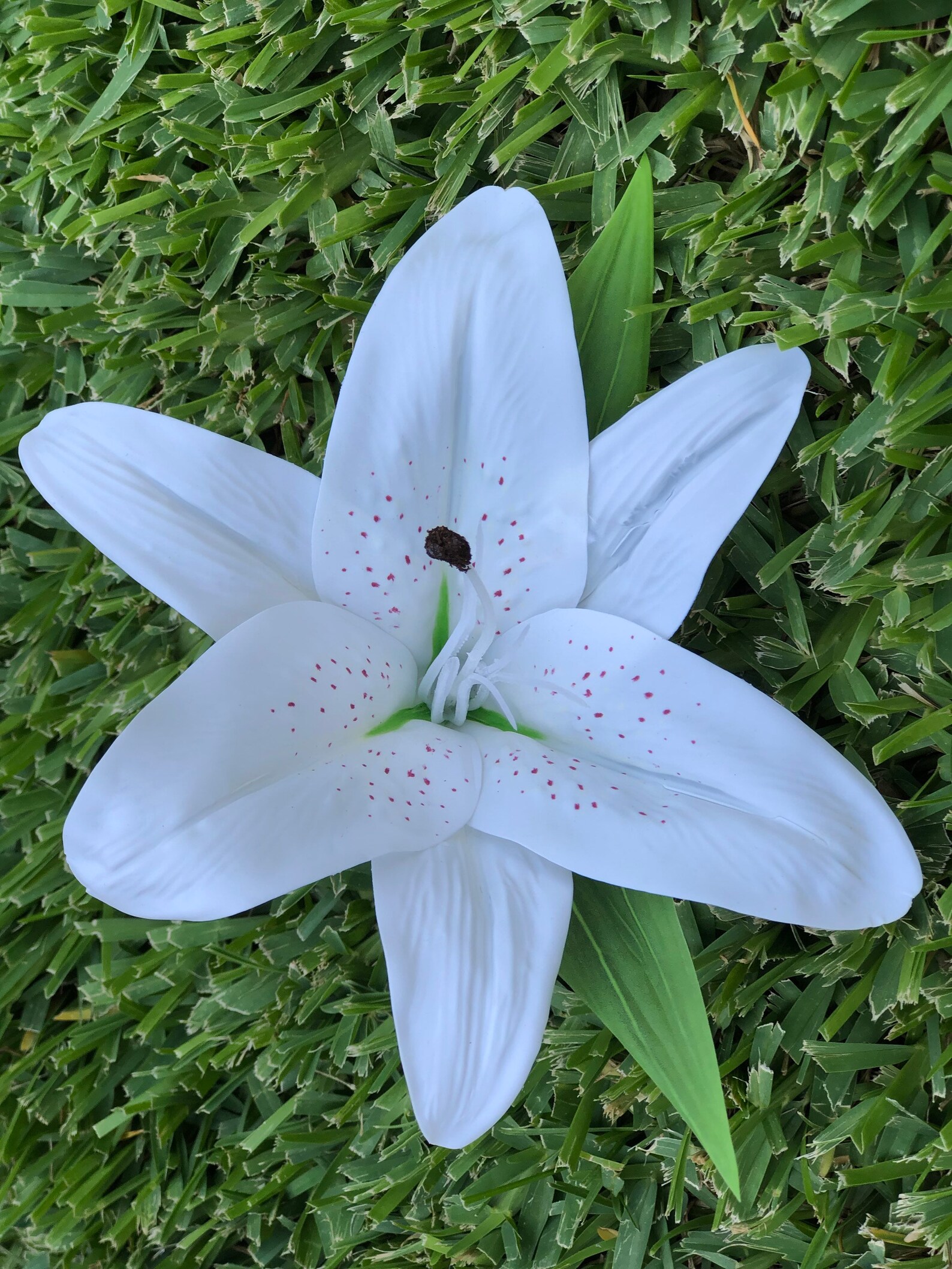stargazer lily hair clip