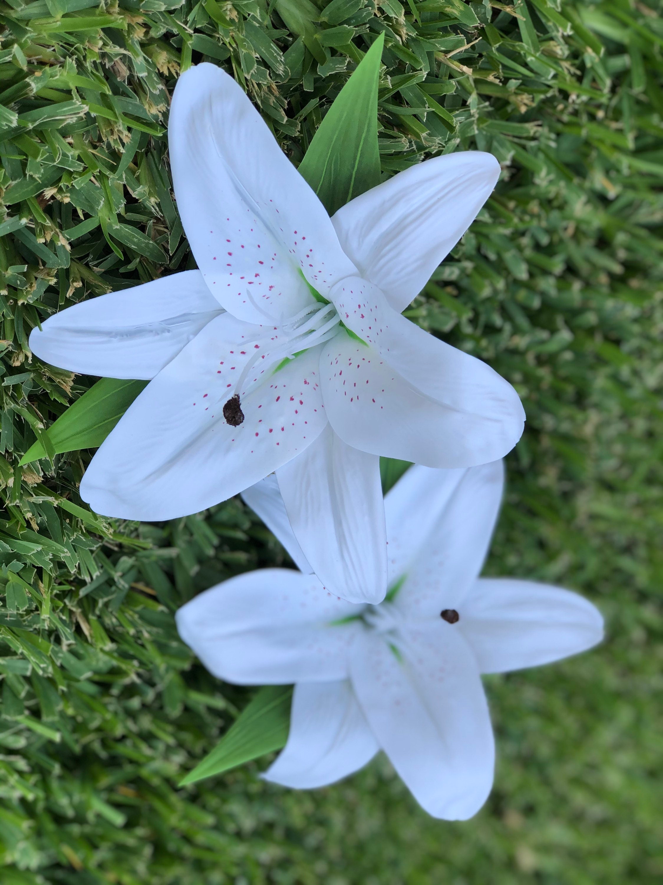 stargazer lily hair clip