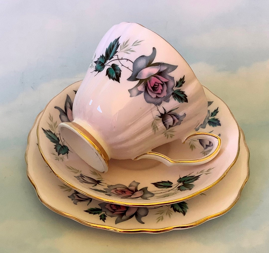Colclough Roses Trio, Pattern No 8183, Vintage Colclough Cup Saucer ...
