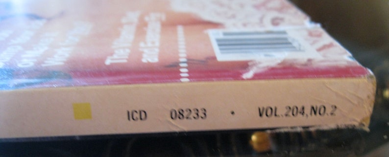 Modelo de portada Cher de la revista Cosmopolitan de febrero de 1988 de Francesco Scavullo imagen 7