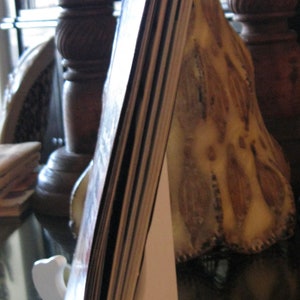 Modelo de portada Cher de la revista Cosmopolitan de febrero de 1988 de Francesco Scavullo imagen 3