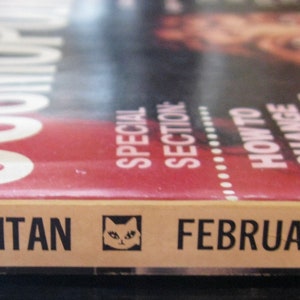 Modelo de portada Cher de la revista Cosmopolitan de febrero de 1988 de Francesco Scavullo imagen 6