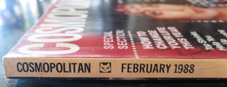 Modelo de portada Cher de la revista Cosmopolitan de febrero de 1988 de Francesco Scavullo imagen 6