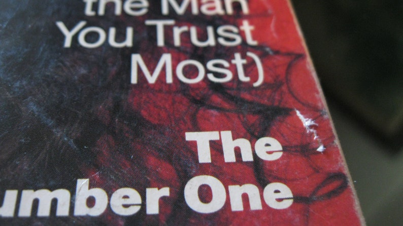 Modelo de portada Cher de la revista Cosmopolitan de febrero de 1988 de Francesco Scavullo imagen 10