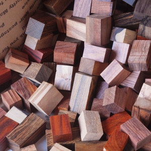 Exotic Wood Scraps 250pc. Mix image 1