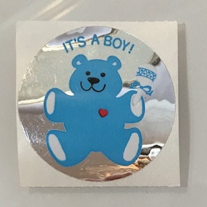 Vintage Rare Sandylion Blue Teddy Bear Mylar Sticker